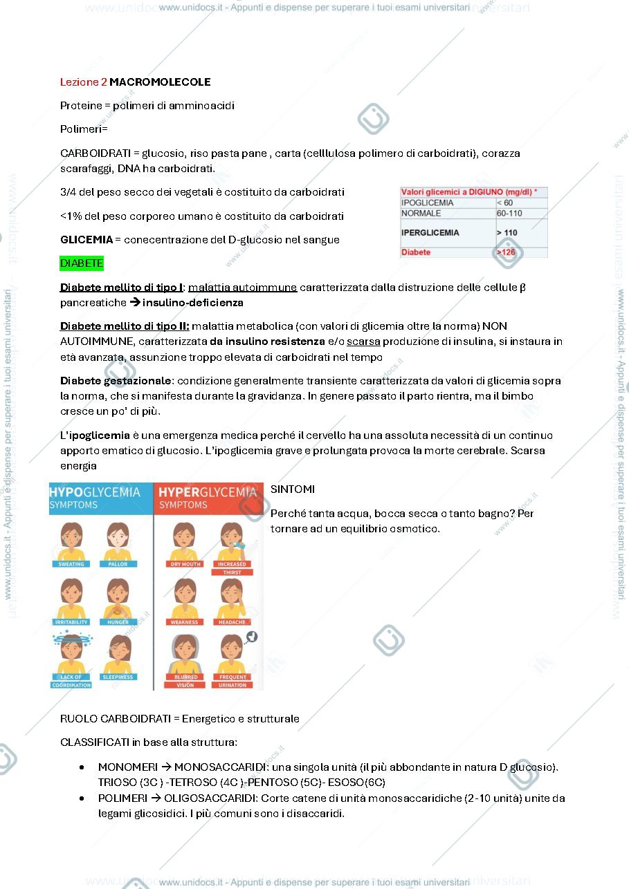 Anteprima pagina 1 — Biochimica parte 2