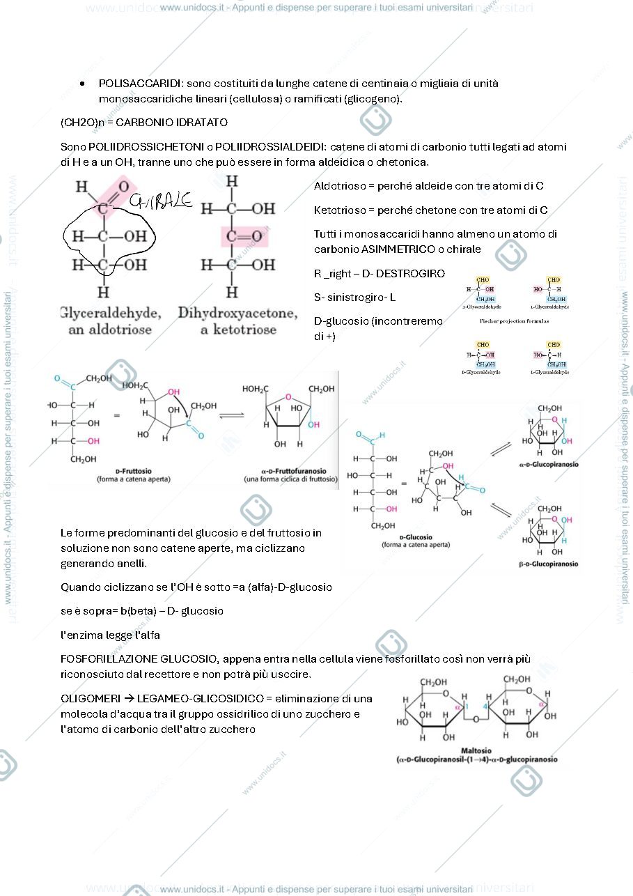 Anteprima pagina 2 — Biochimica parte 2