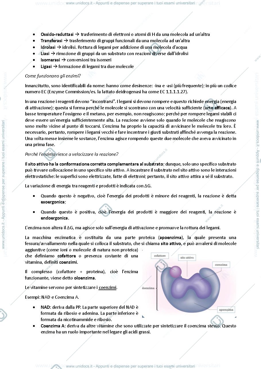 Anteprima pagina 2 — Chimica e biochimica 