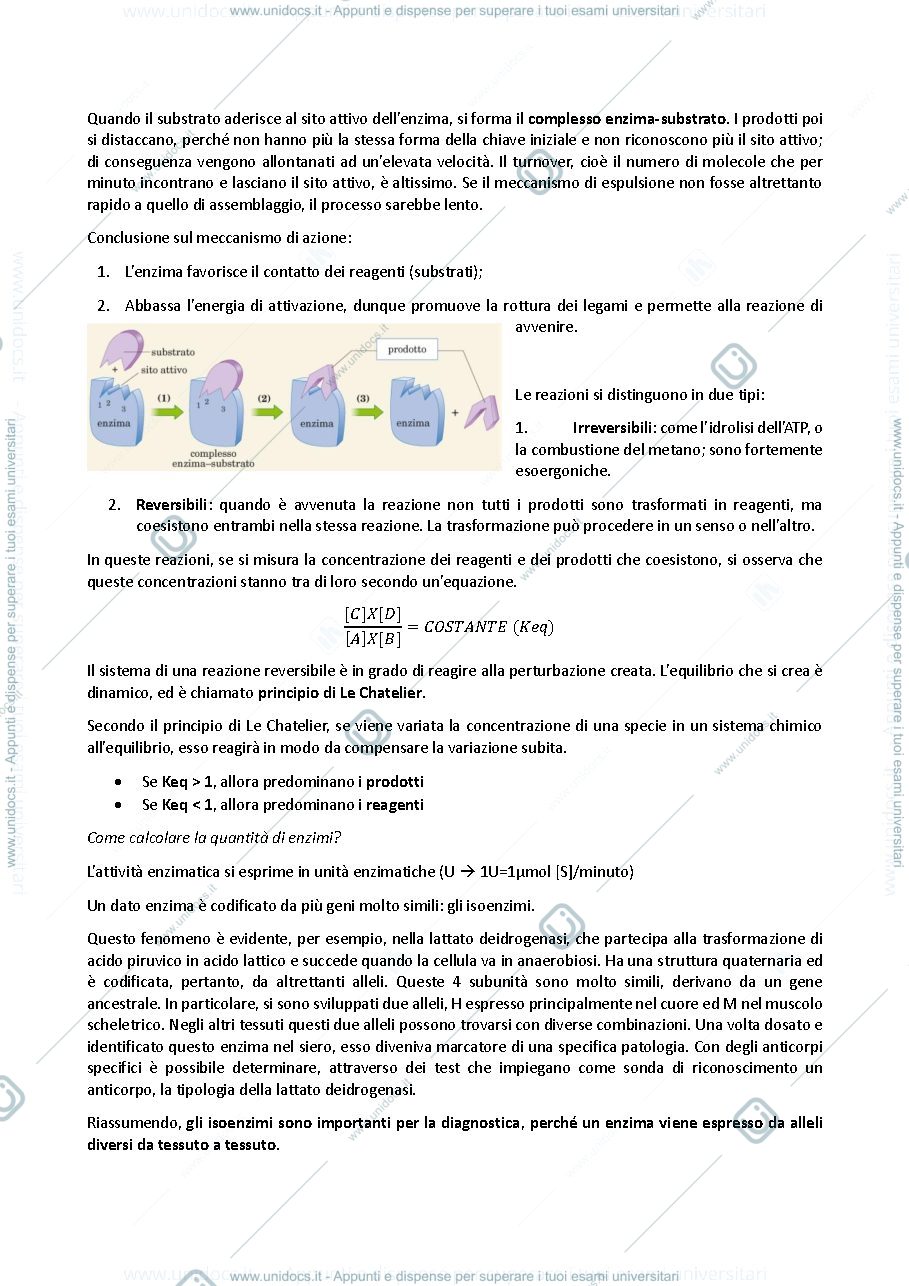 Anteprima pagina 3 — Chimica e biochimica 