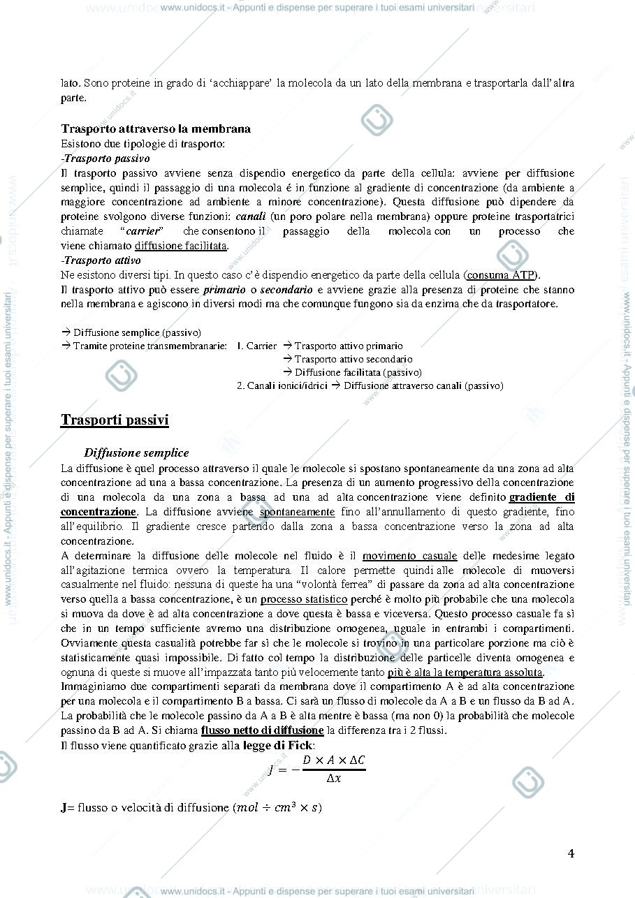 Anteprima pagina 4 — Fisiologia cellulare 