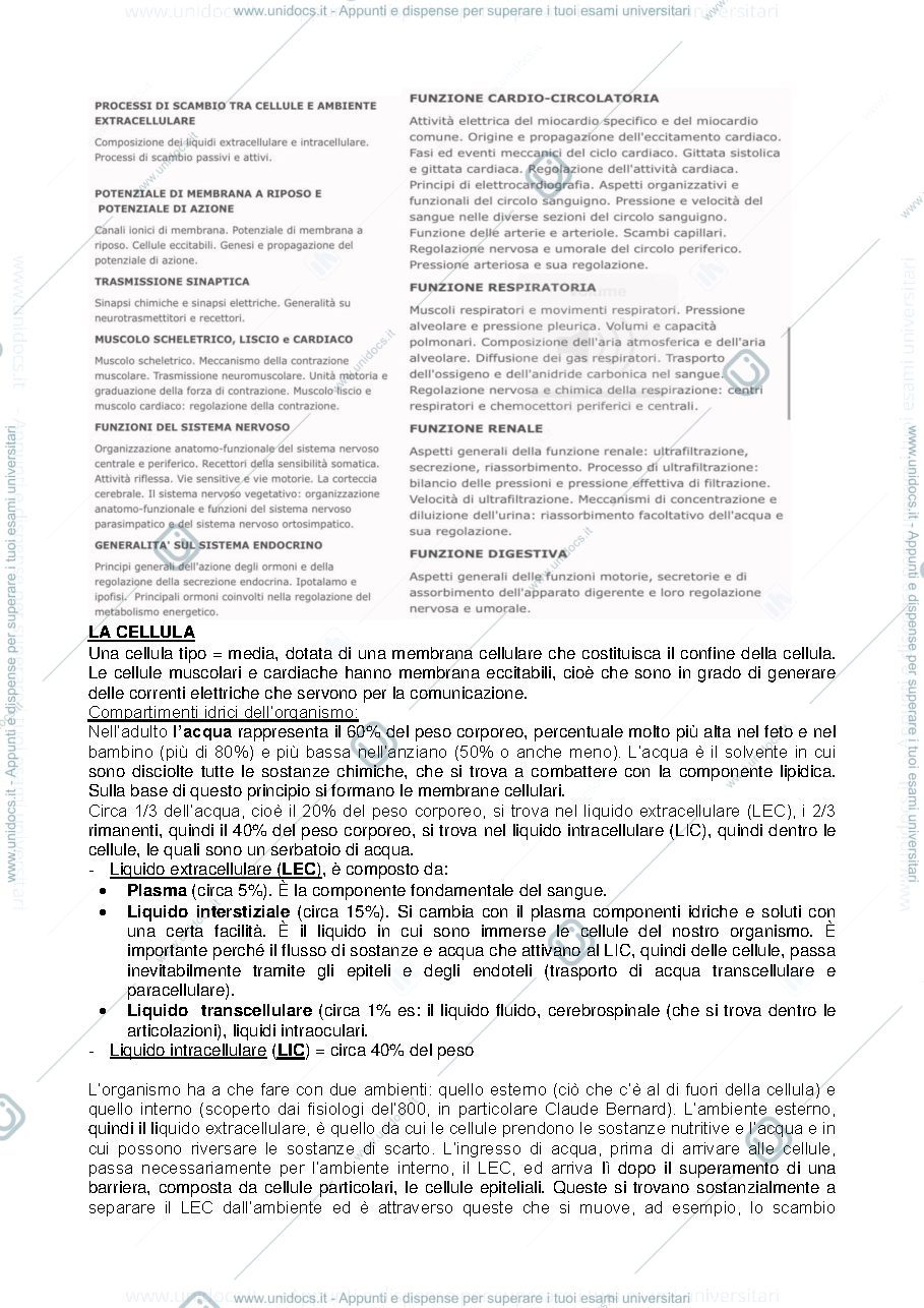 Anteprima pagina 2 — Prof Amici