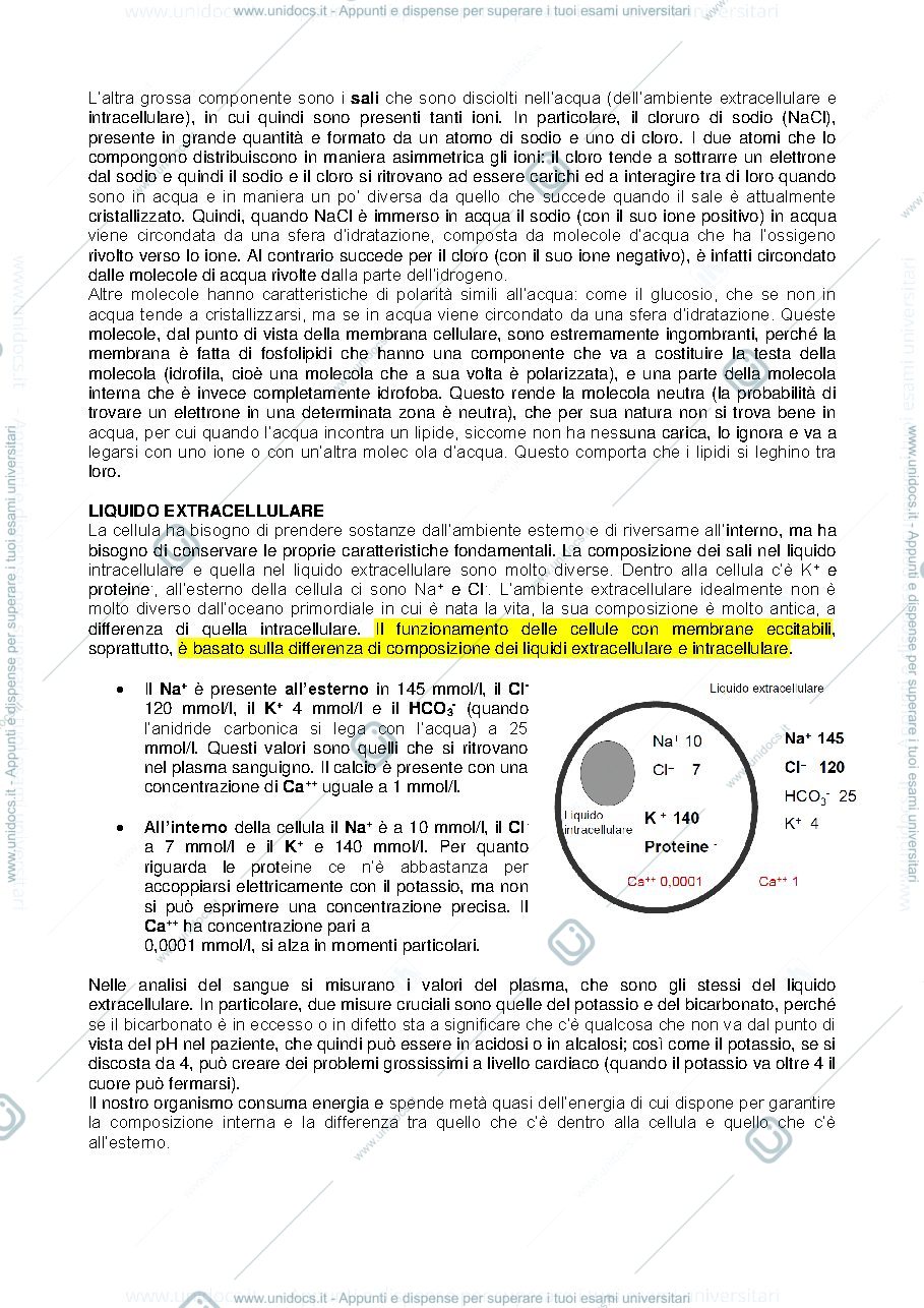 Anteprima pagina 4 — Prof Amici