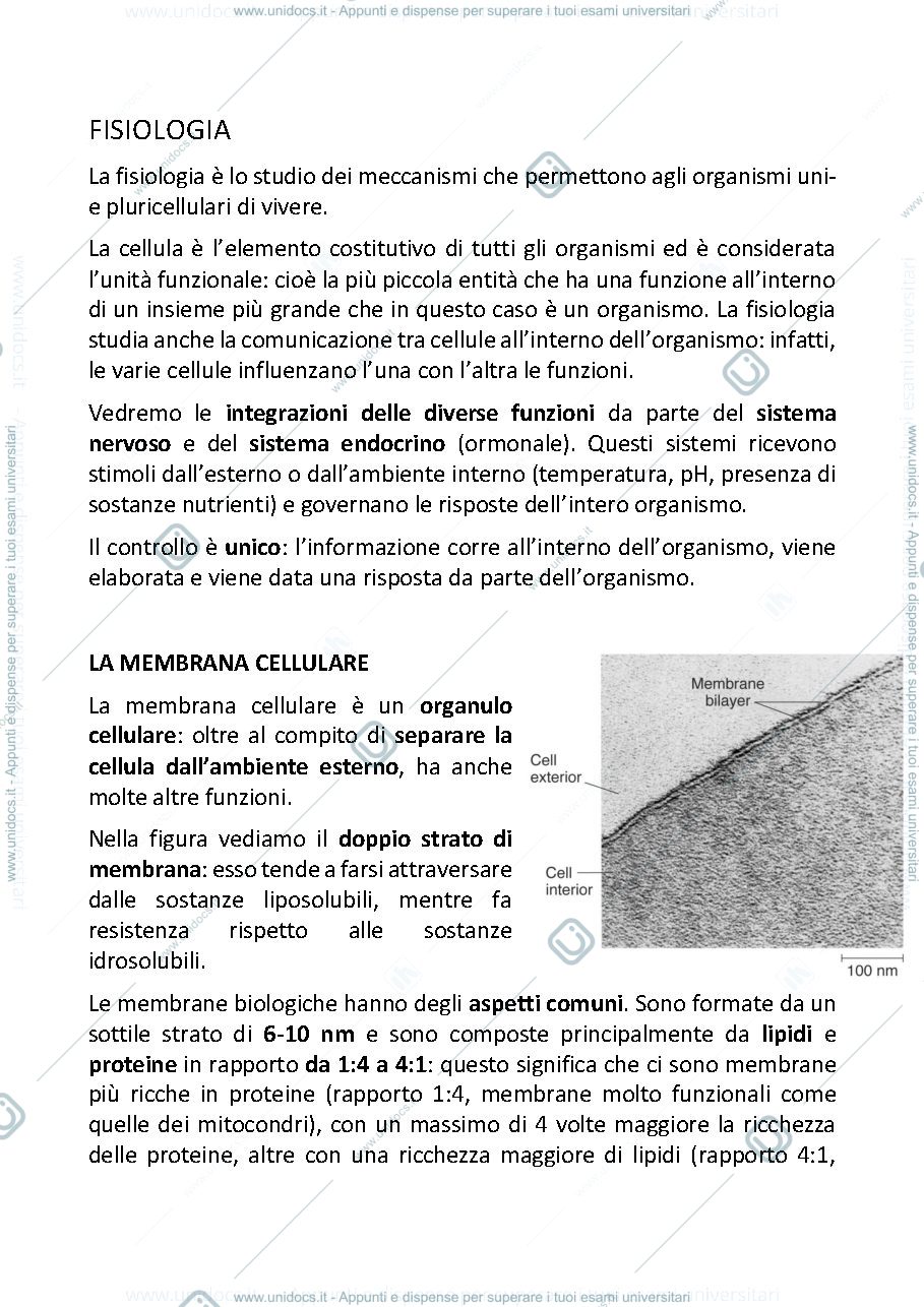 Anteprima pagina 1 — Fisiologia