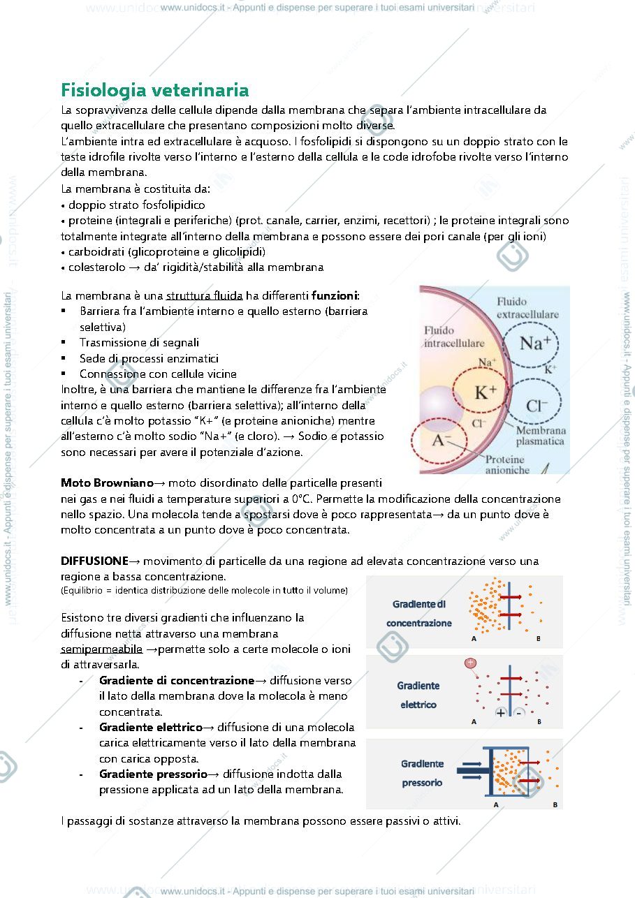 Anteprima pagina 1 — Appunti di fisiologia veterinaria