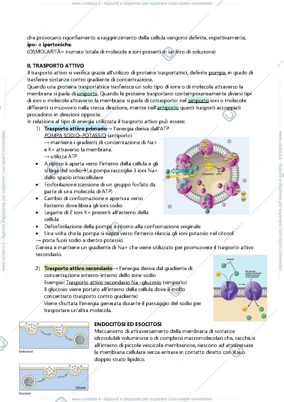 Anteprima pagina 3 — Appunti di fisiologia veterinaria