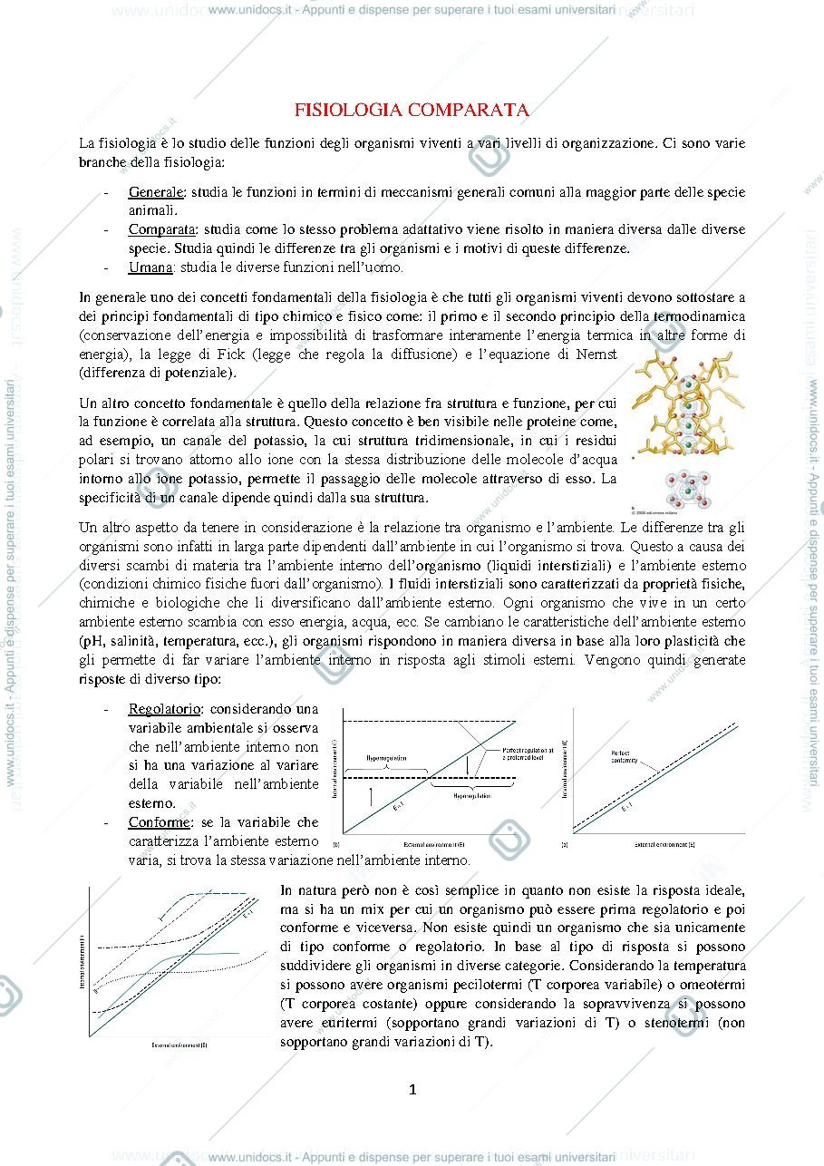 Anteprima pagina 1 — B029607 (B232) - FISIOLOGIA COMPARATA 2023-2024 (I° ANNO)