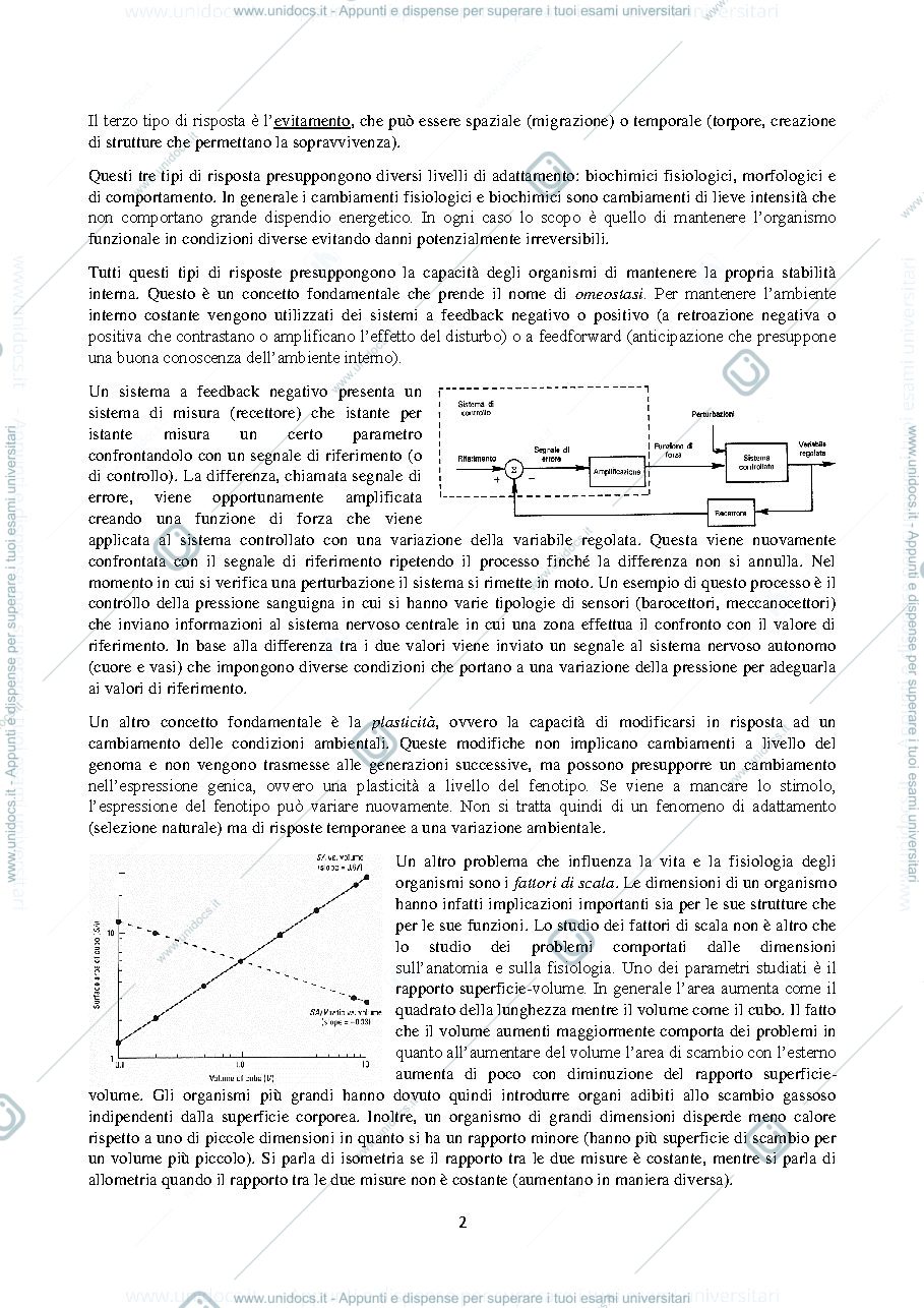 Anteprima pagina 2 — B029607 (B232) - FISIOLOGIA COMPARATA 2023-2024 (I° ANNO)