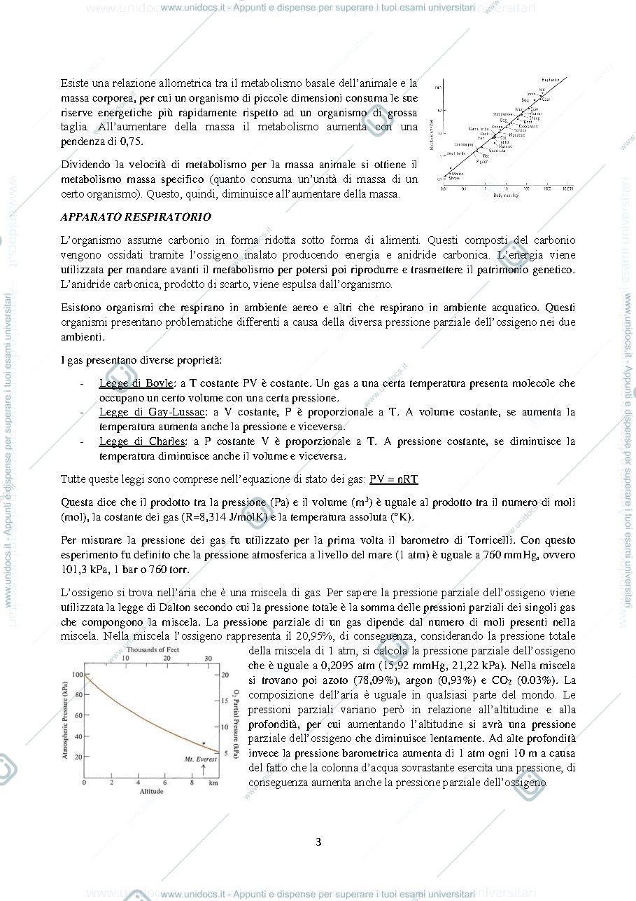 Anteprima pagina 3 — B029607 (B232) - FISIOLOGIA COMPARATA 2023-2024 (I° ANNO)