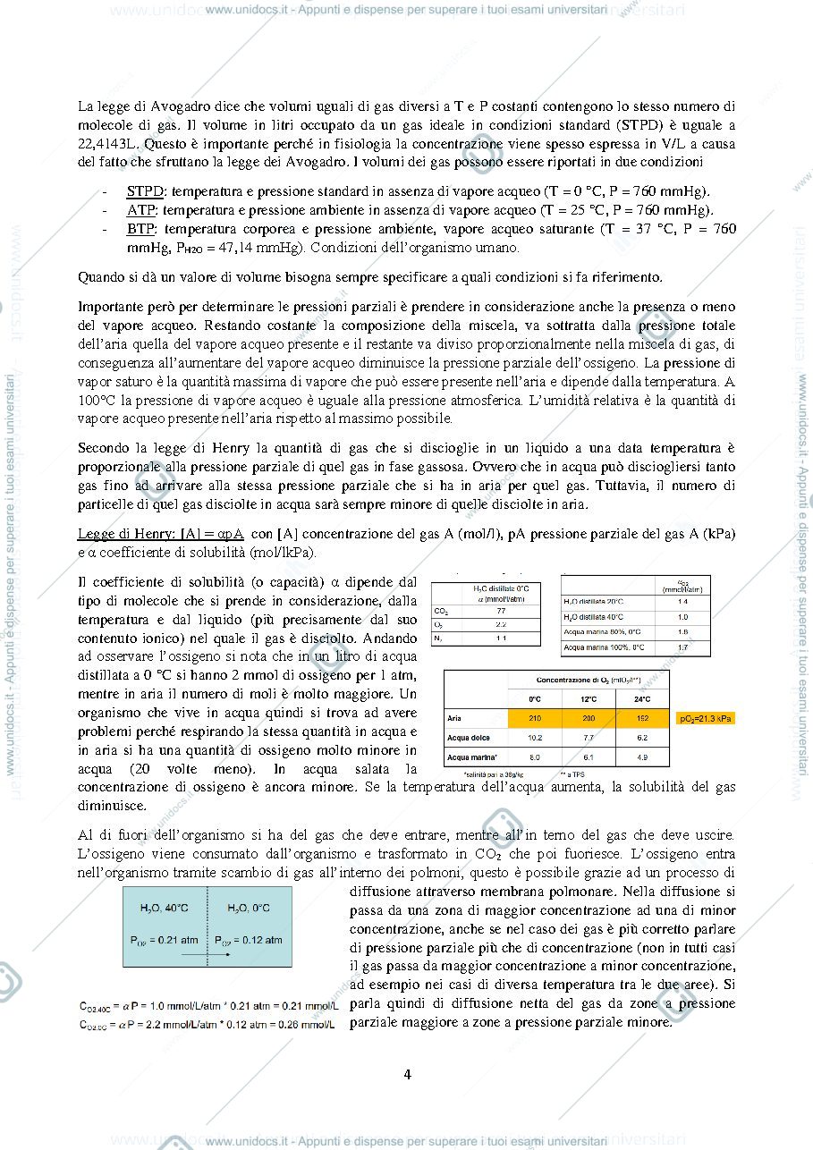 Anteprima pagina 4 — B029607 (B232) - FISIOLOGIA COMPARATA 2023-2024 (I° ANNO)