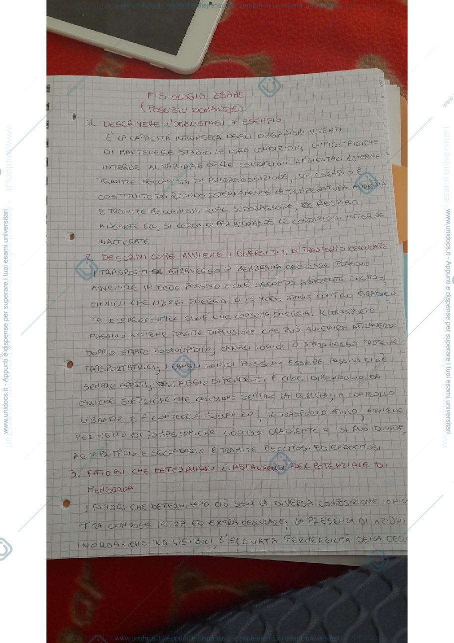 Anteprima pagina 1 — Possibili domande esame