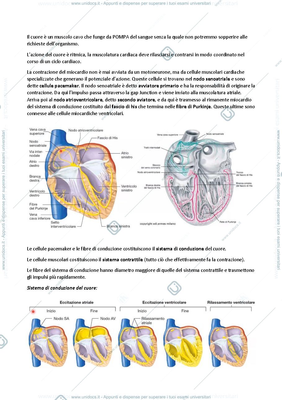 Anteprima pagina 3 — Fisiologia degli organi e degli apparati
