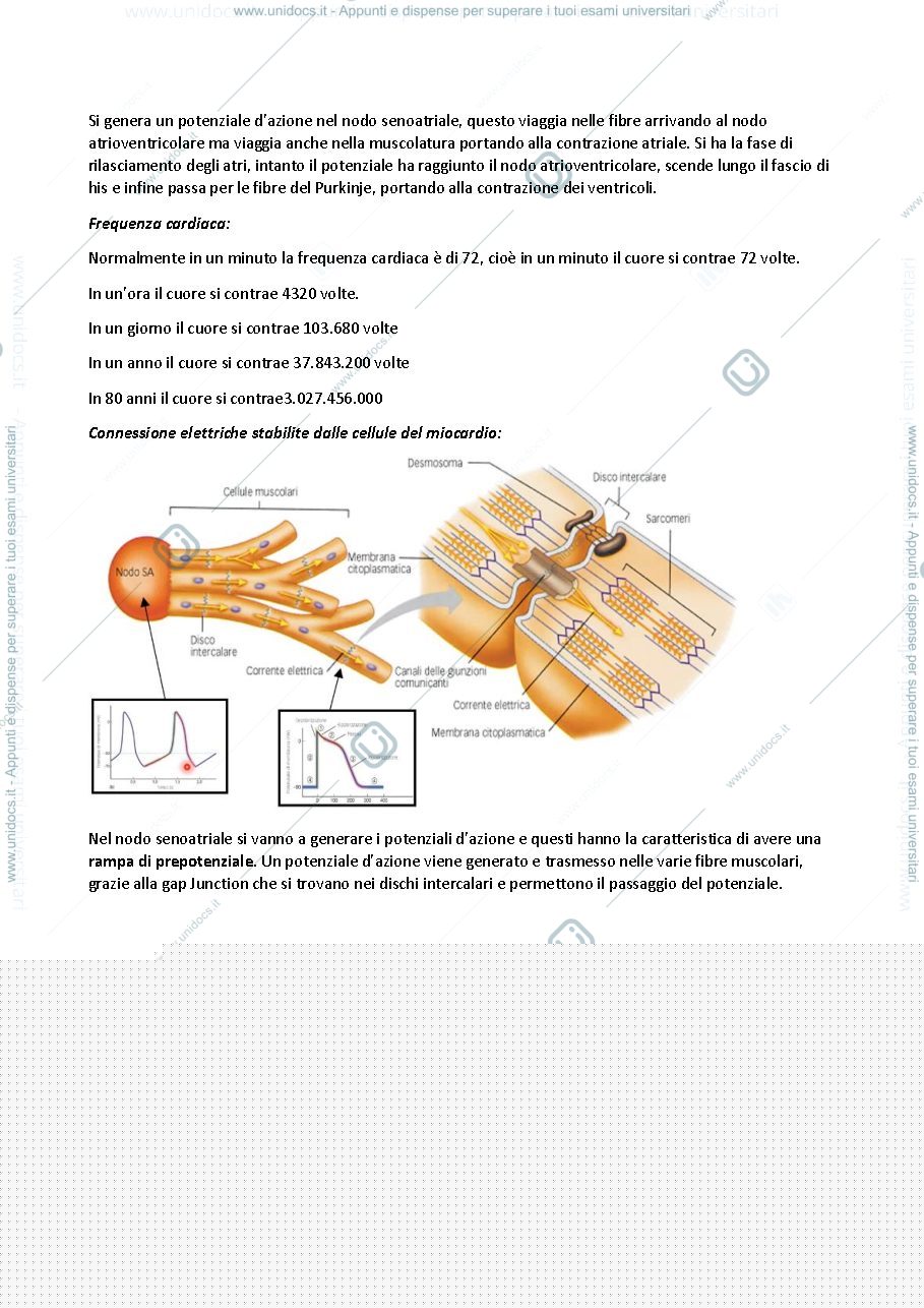 Anteprima pagina 4 — Fisiologia degli organi e degli apparati