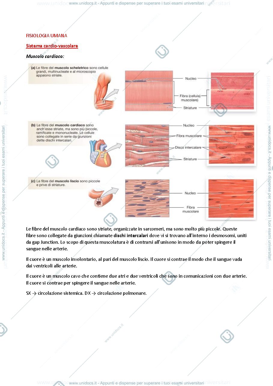 Anteprima pagina 1 — Fisiologia degli organi e degli apparati