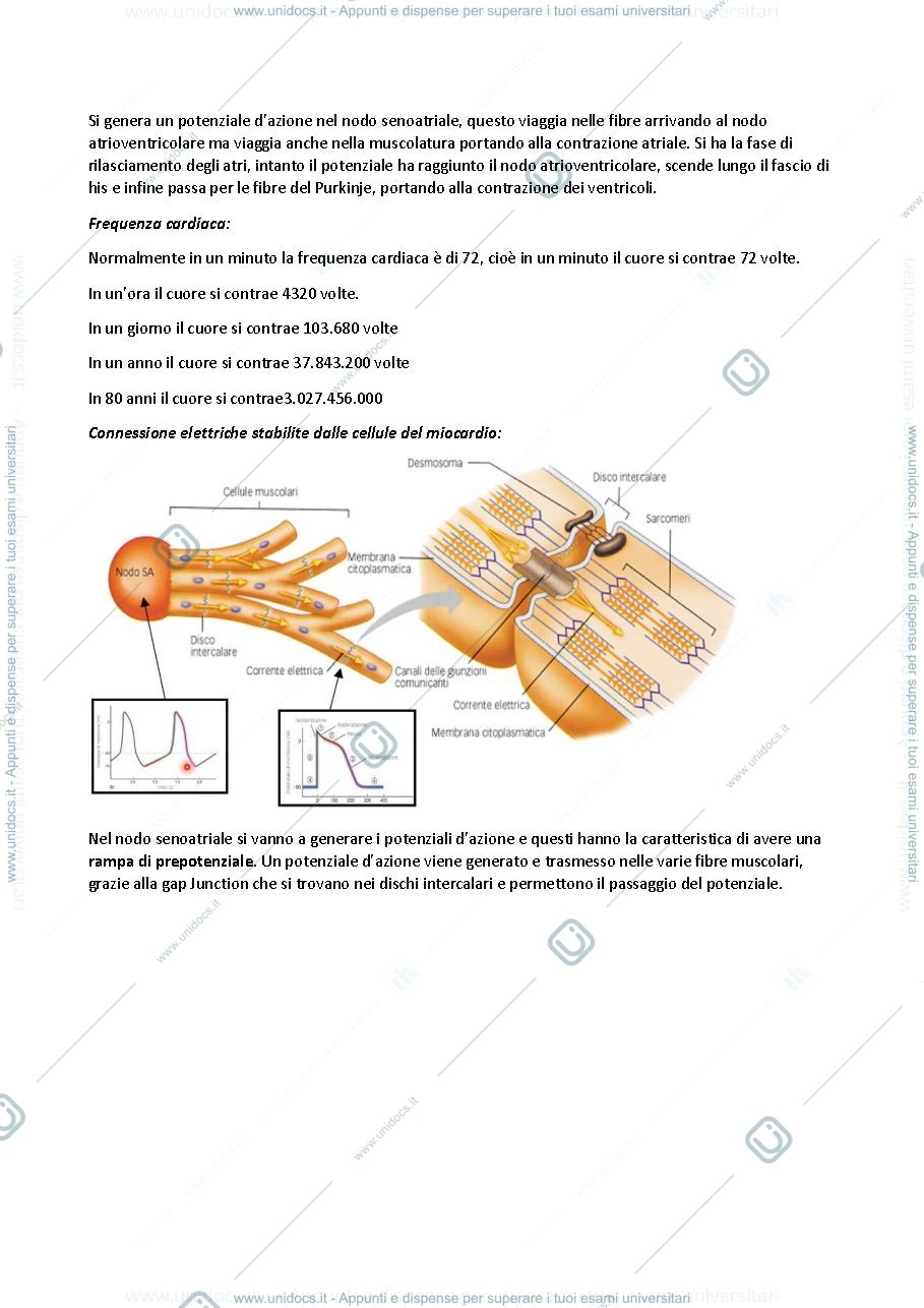Anteprima pagina 4 — Fisiologia degli organi e degli apparati