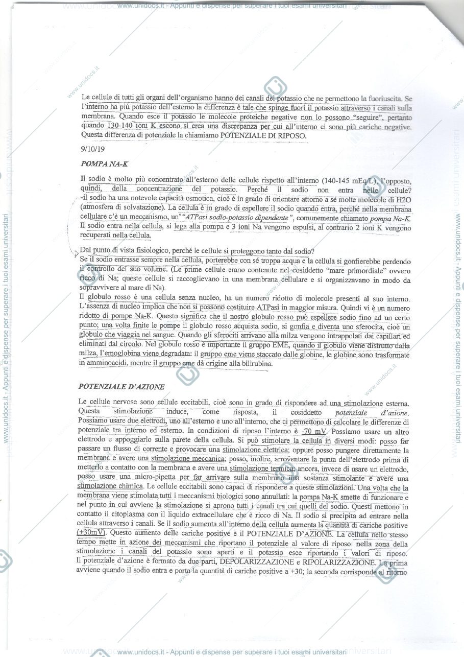 Anteprima pagina 2 — Fisiologia della nutrizione