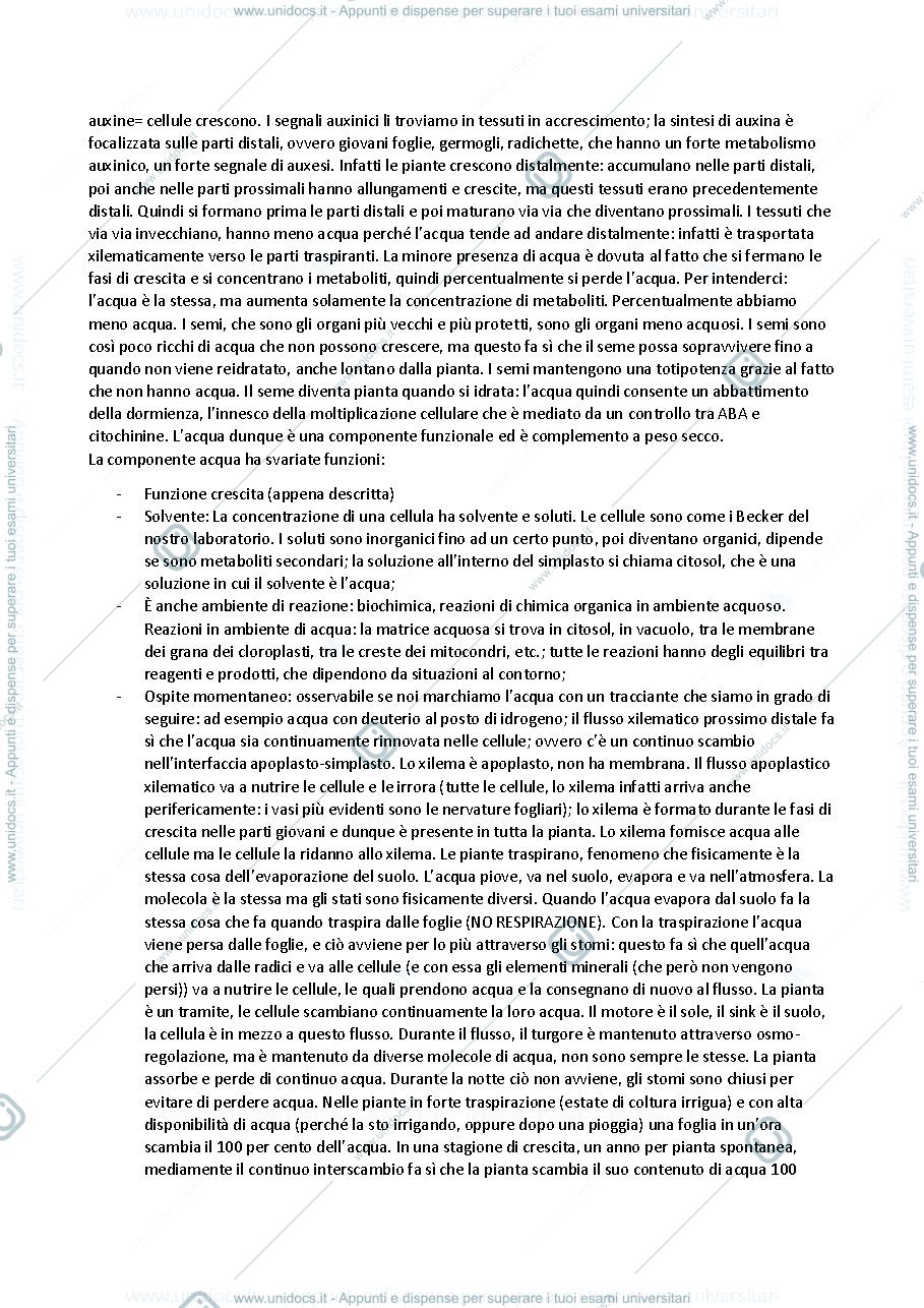 Anteprima pagina 2 — FISIOLOGIA VEGETALE appunti