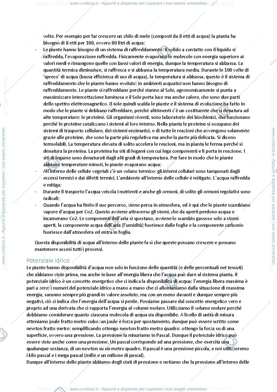 Anteprima pagina 3 — FISIOLOGIA VEGETALE appunti