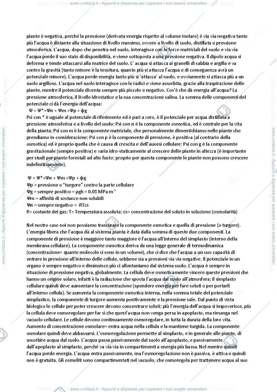 Anteprima pagina 4 — FISIOLOGIA VEGETALE appunti
