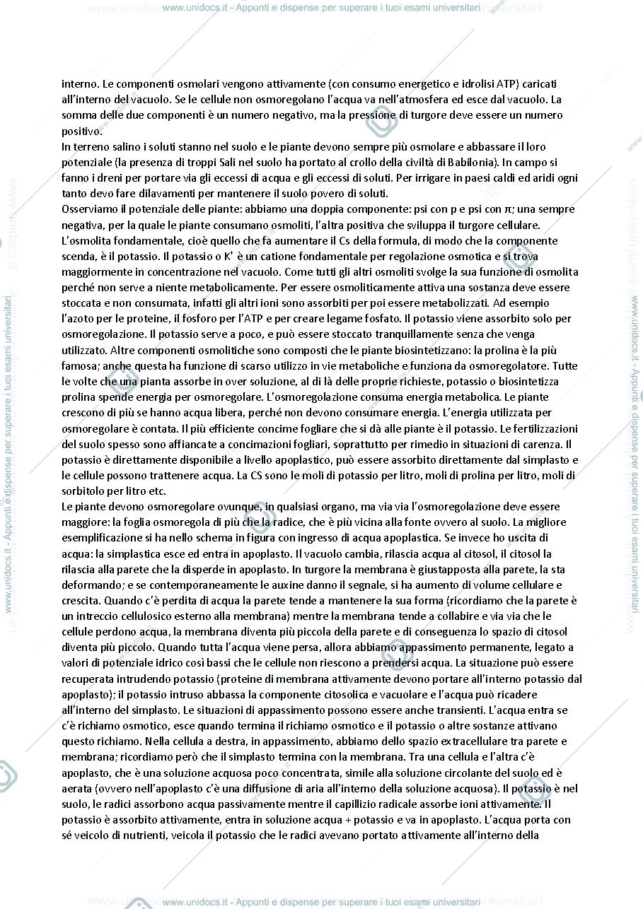 Anteprima pagina 5 — FISIOLOGIA VEGETALE appunti
