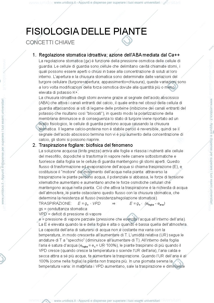 Anteprima pagina 1 — PUNTI CHIAVE FISIOLOGIA DELLE PIANTE