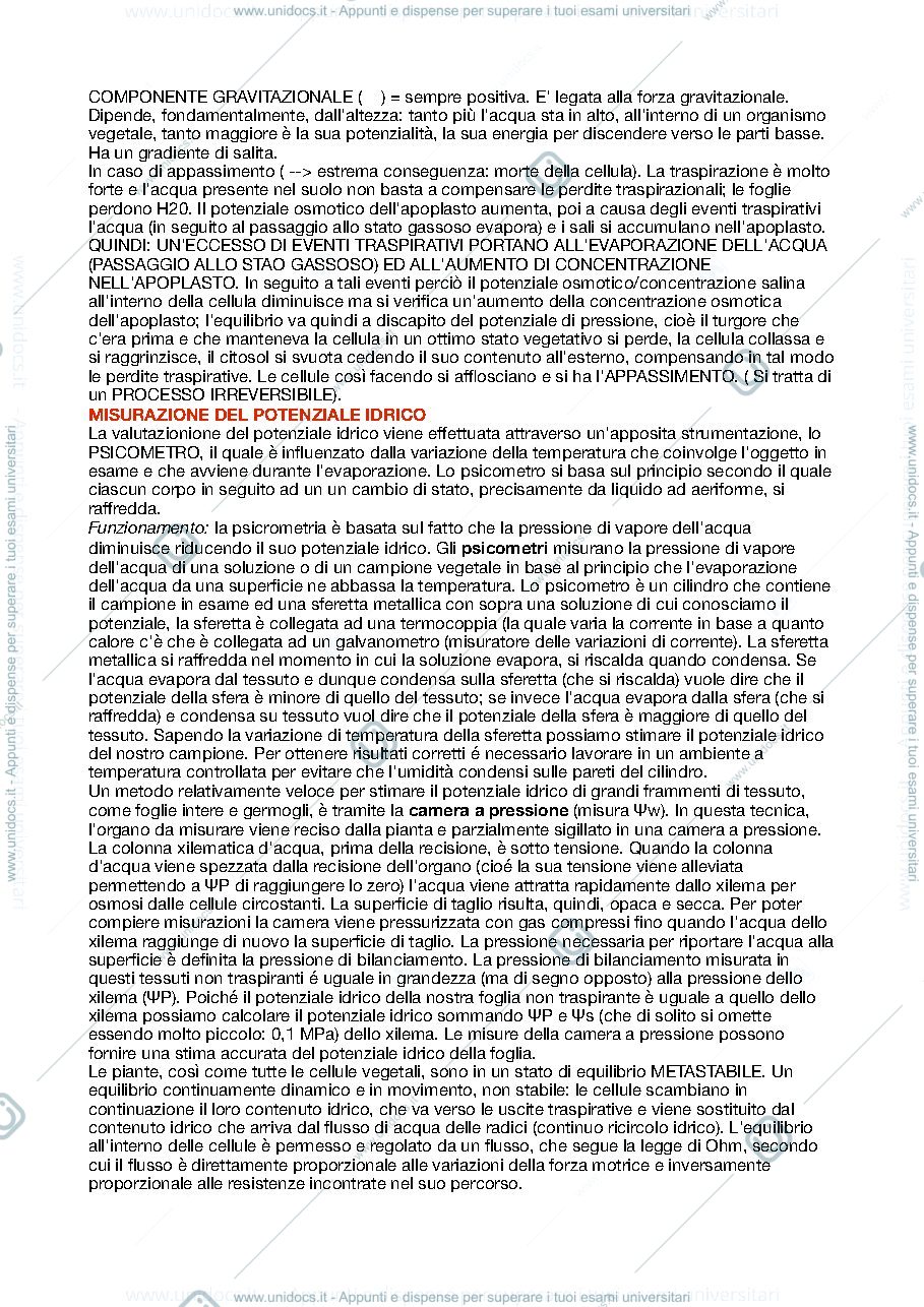 Anteprima pagina 2 — Appunti Fisiologia Vegetale