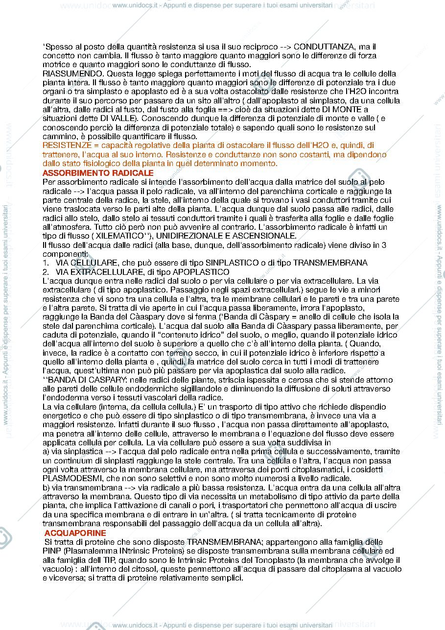 Anteprima pagina 3 — Appunti Fisiologia Vegetale