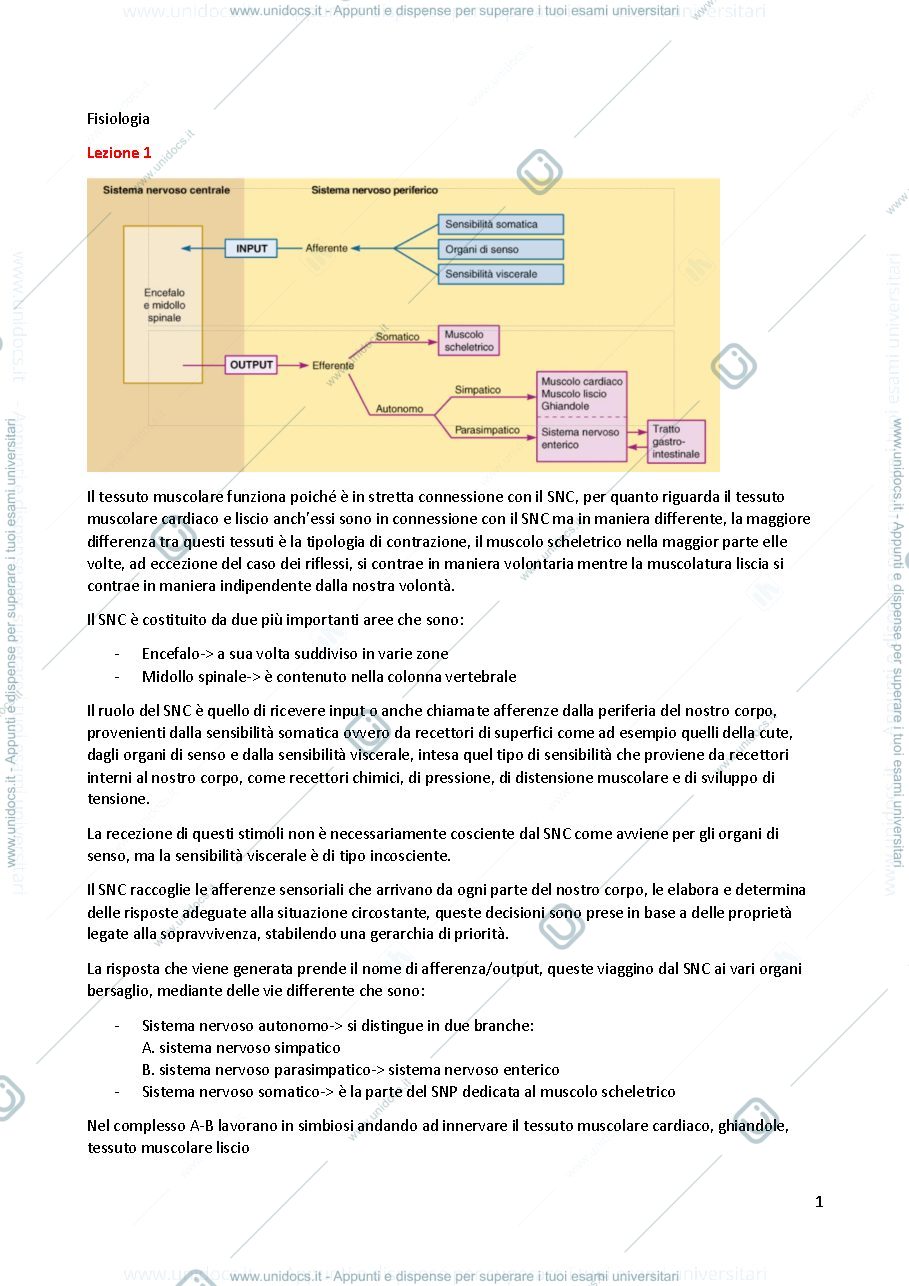 Anteprima pagina 1 — Fisiologia applicato allo sport