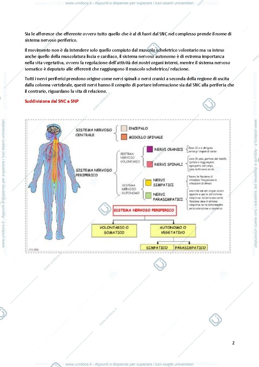 Anteprima pagina 2 — Fisiologia applicato allo sport