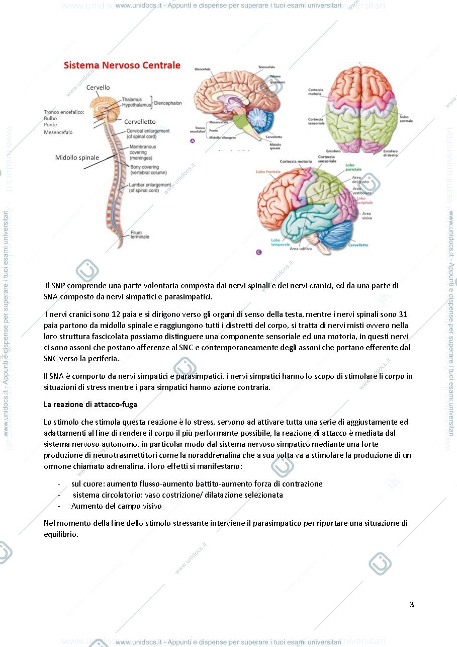 Anteprima pagina 3 — Fisiologia applicato allo sport