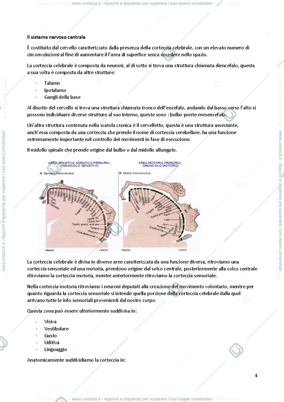 Anteprima pagina 4 — Fisiologia applicato allo sport