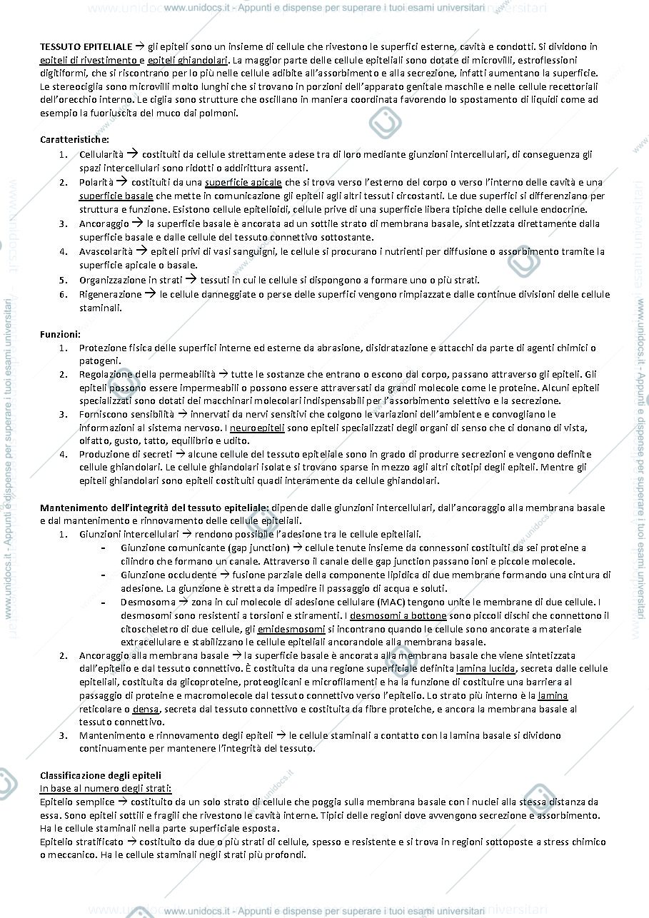 Anteprima pagina 1 — Anatomia umana 