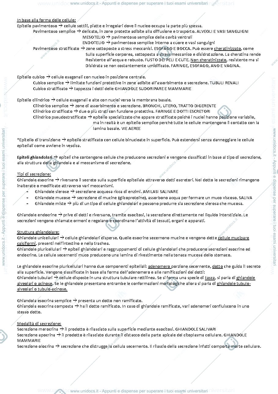 Anteprima pagina 2 — Anatomia umana 