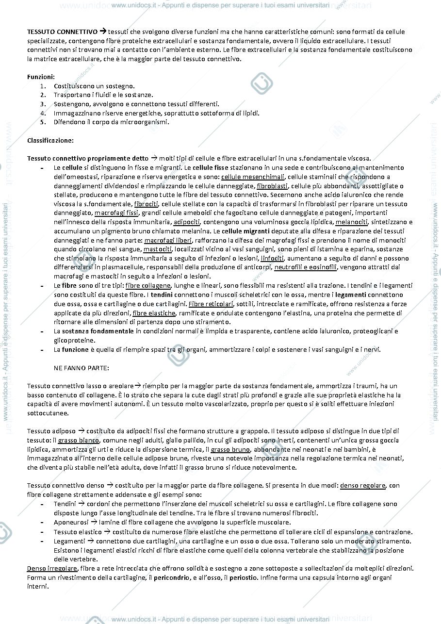 Anteprima pagina 3 — Anatomia umana 