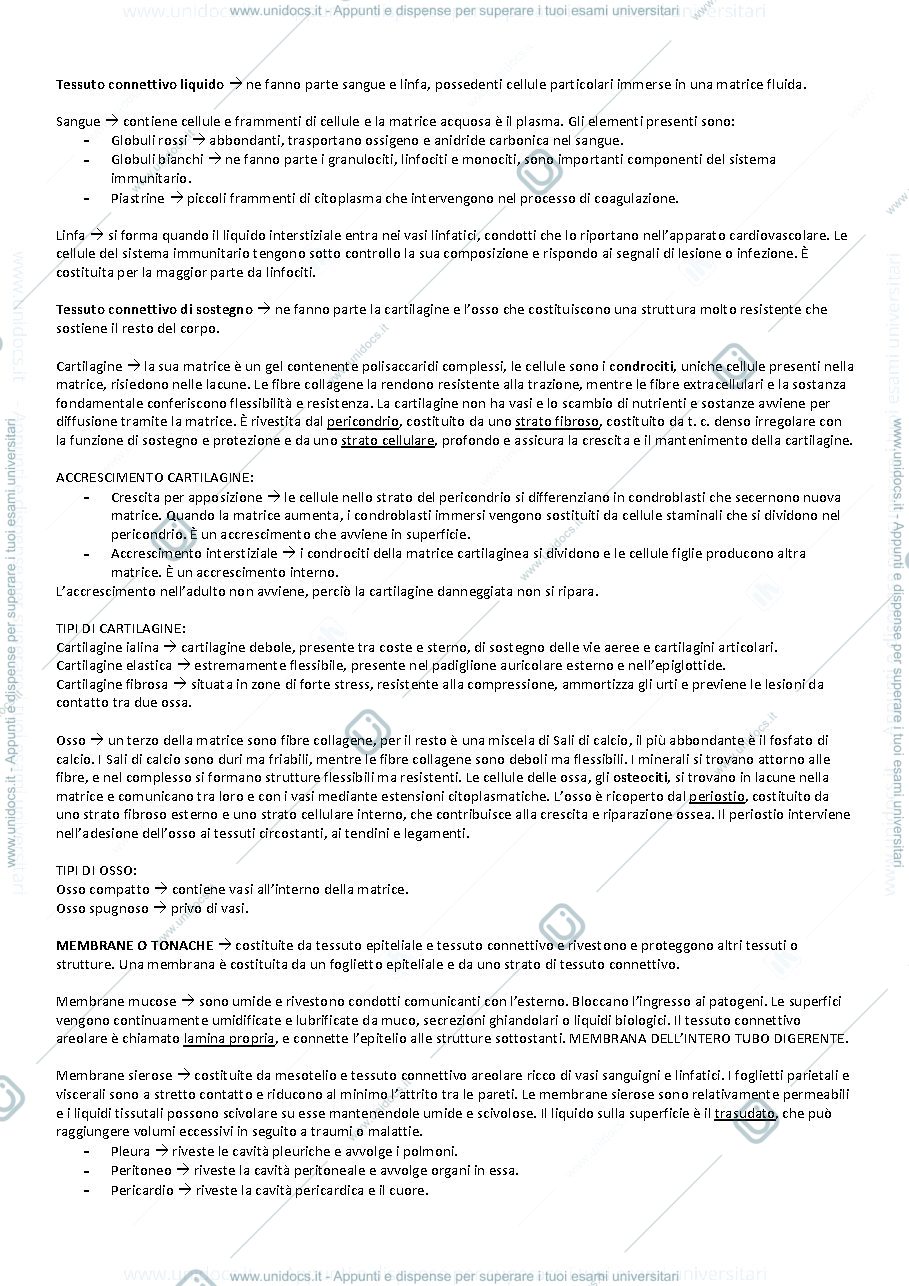 Anteprima pagina 4 — Anatomia umana 
