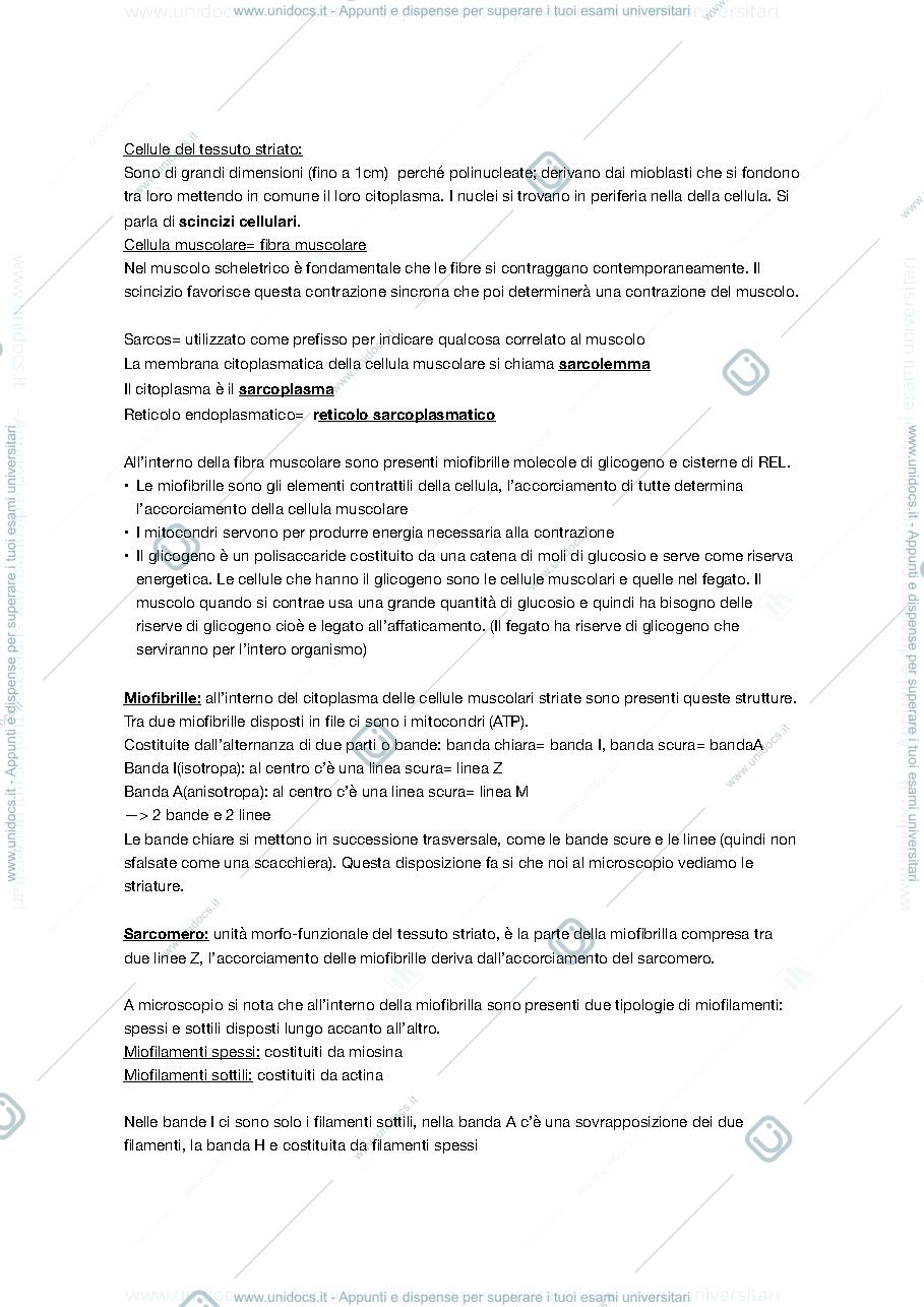 Anteprima pagina 2 — Appunti di anatomia