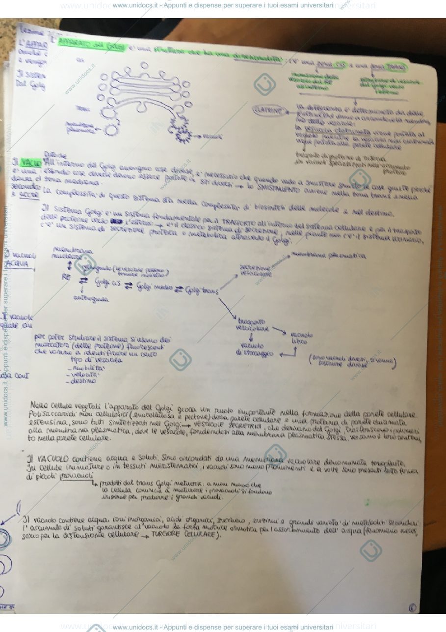 Anteprima pagina 1 — Fisiologia e biochimica vegetale 