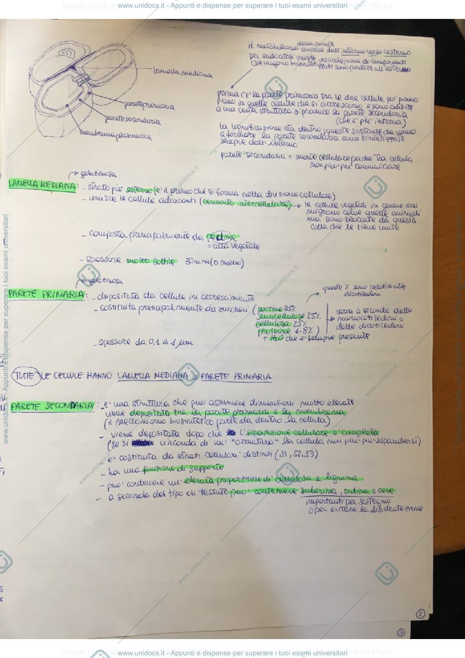 Anteprima pagina 2 — Fisiologia e biochimica vegetale 