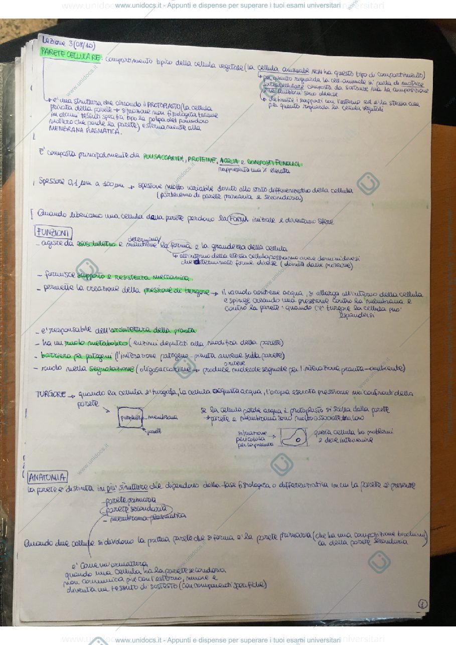 Anteprima pagina 3 — Fisiologia e biochimica vegetale 