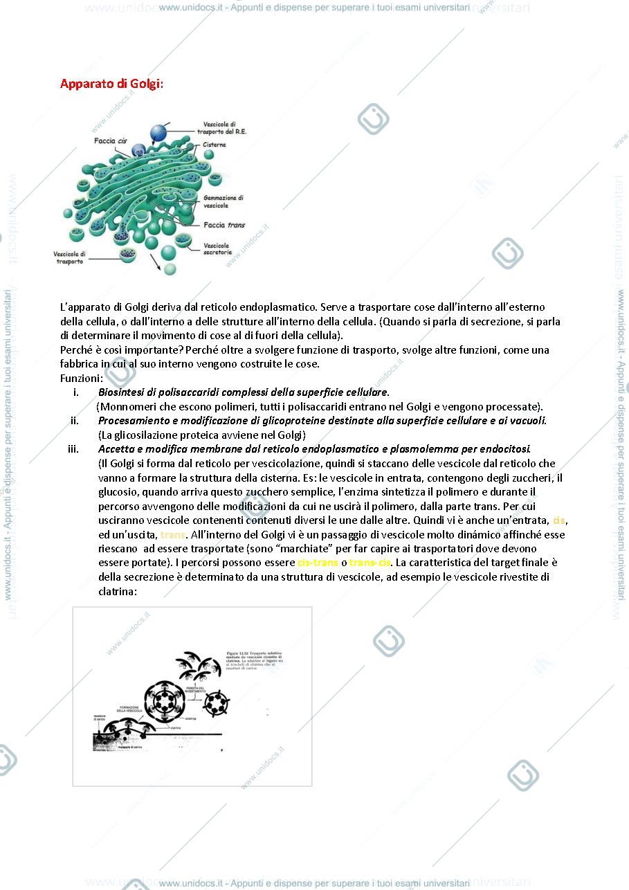 Anteprima pagina 3 — APPUNTI FISIOLOGIA VEGETALE