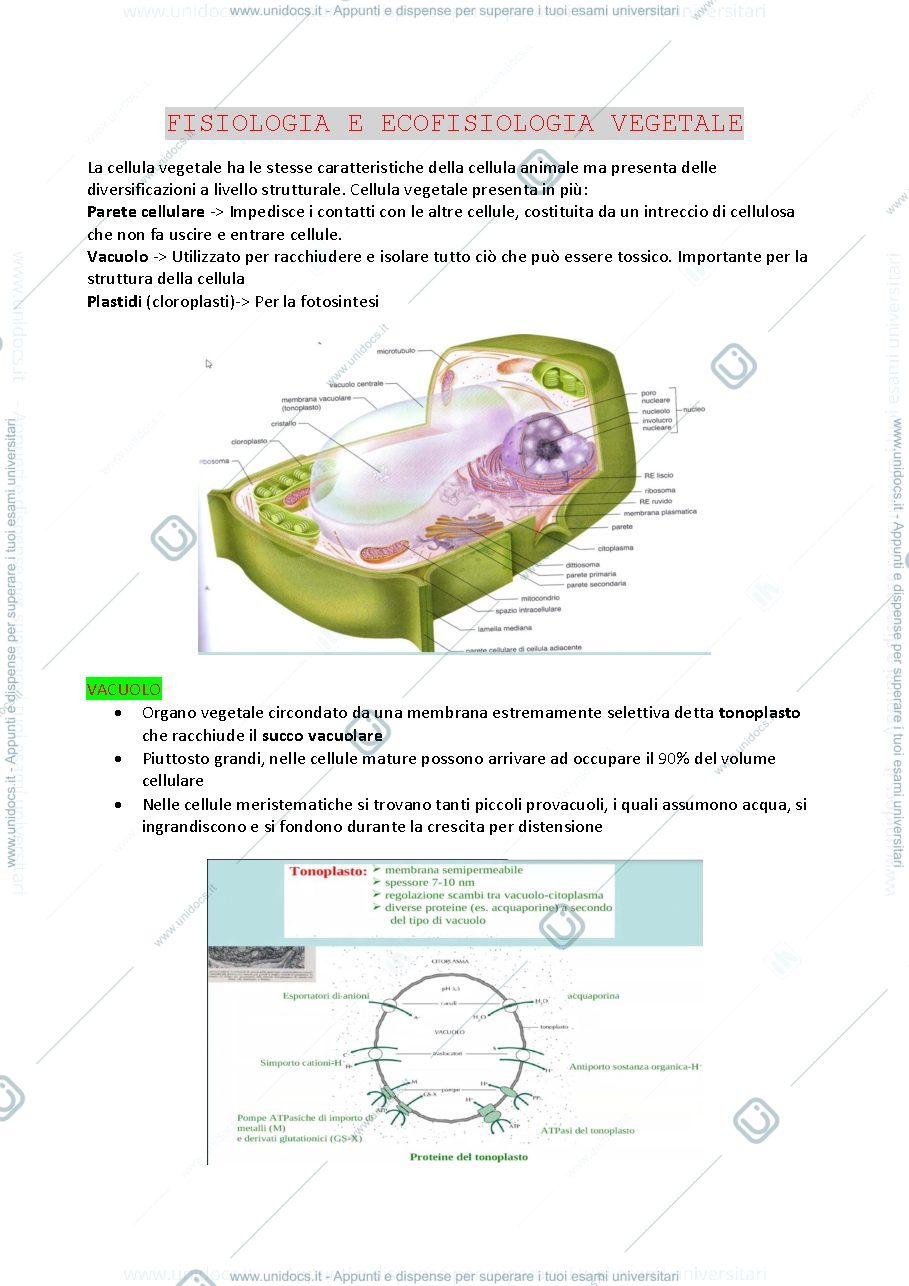 Anteprima pagina 1 — Appunti Fisiologia 