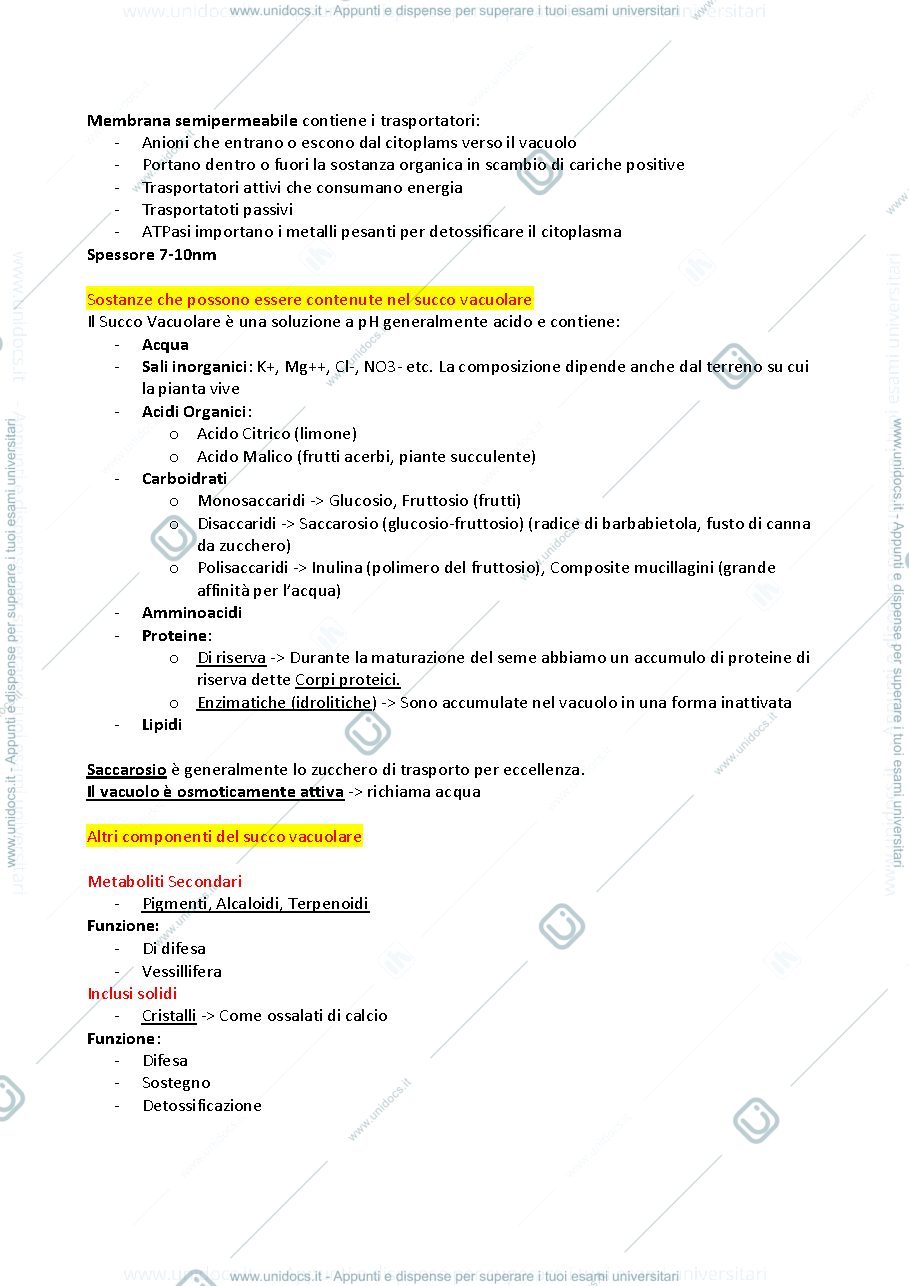 Anteprima pagina 2 — Appunti Fisiologia 
