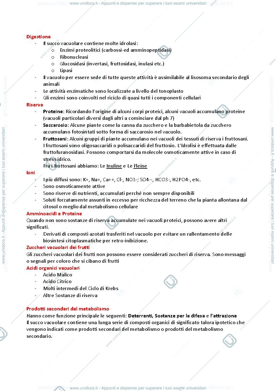 Anteprima pagina 4 — Appunti Fisiologia 