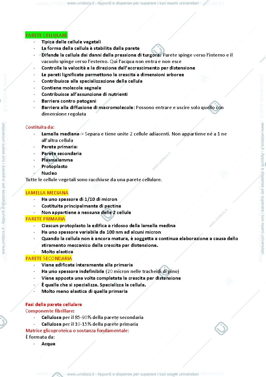 Anteprima pagina 5 — Appunti Fisiologia 
