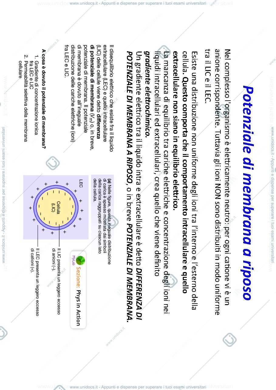 Anteprima pagina 2 — fisiologia
