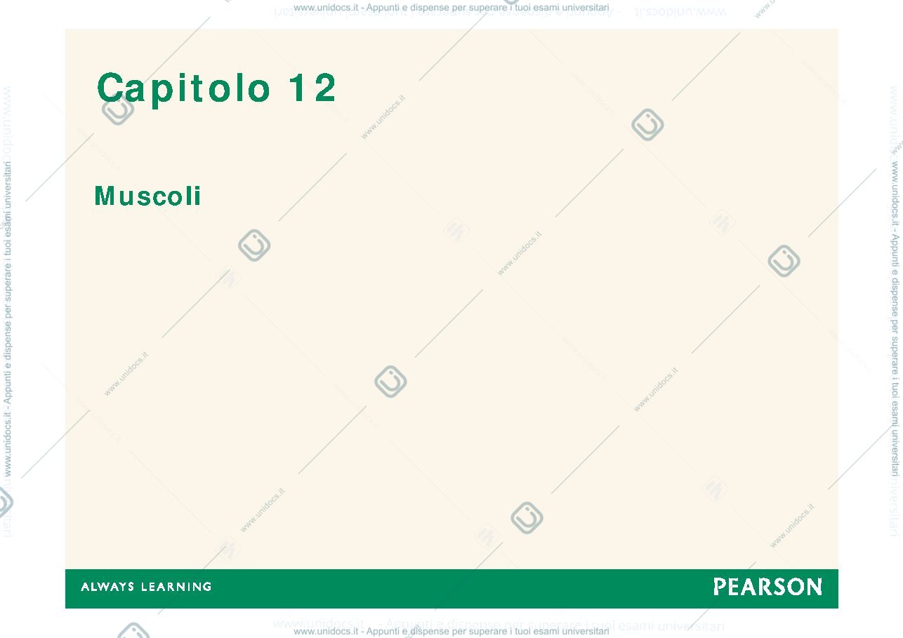 Anteprima pagina 1 — muscoli