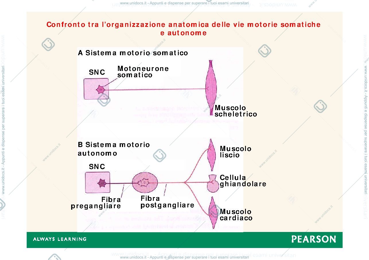 Anteprima pagina 2 — sna