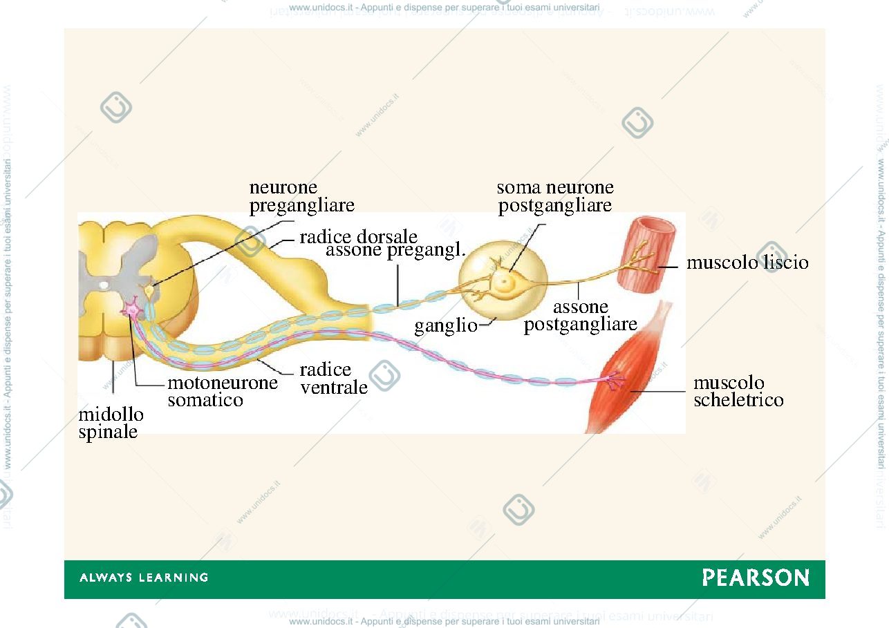 Anteprima pagina 3 — sna