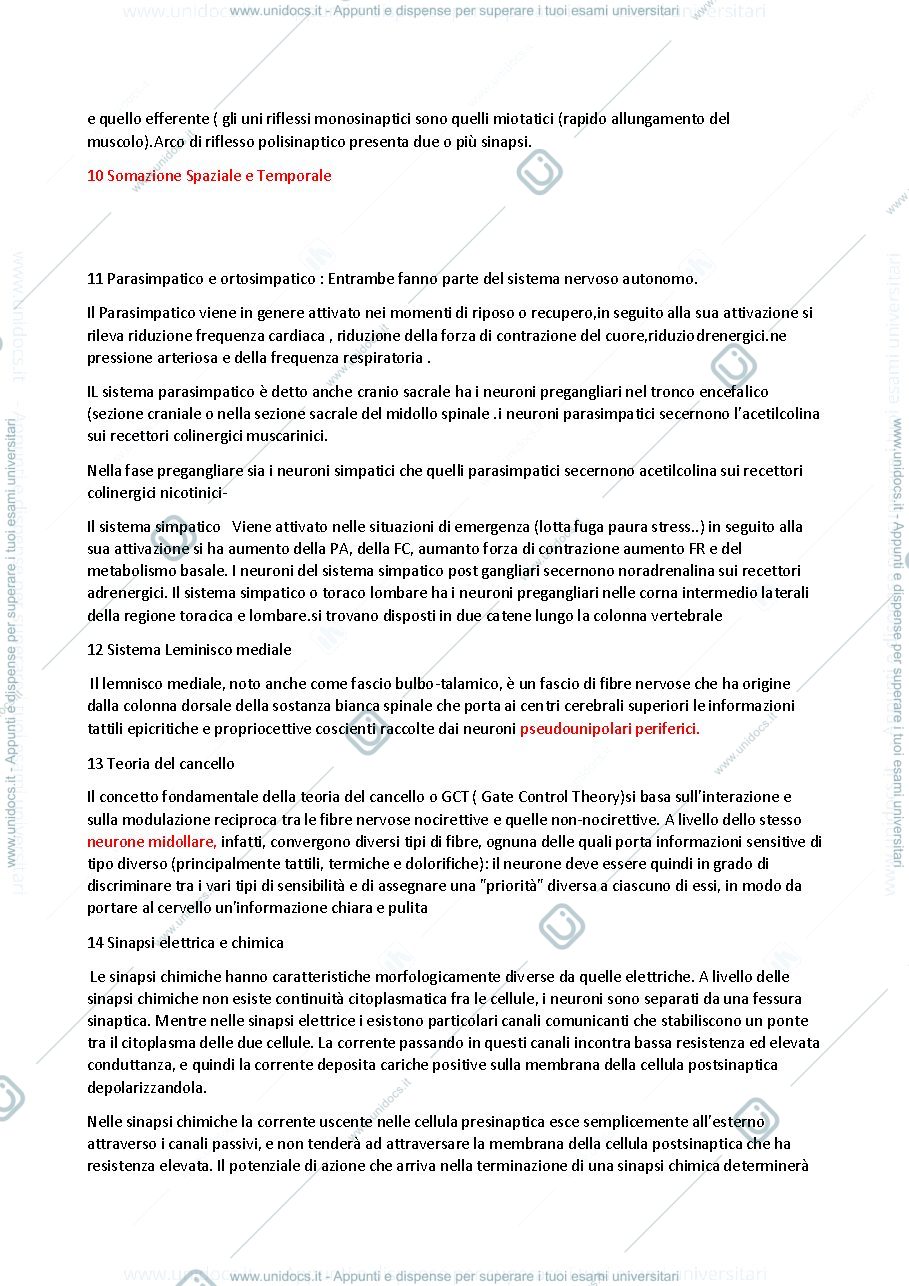 Anteprima pagina 2 — fisiologia sistema