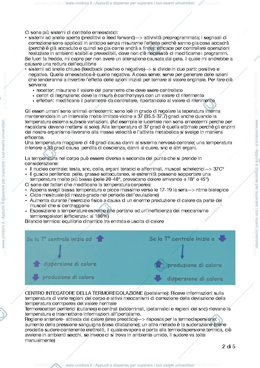 Anteprima pagina 2 — fisiologia 1 lezione